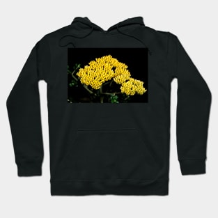 Grey Everlasting Hoodie